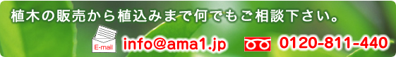 植木の販売から植え込みまで何でもご相談下さい。